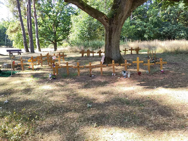 Auf einer Wiese stehen viele Holzkreuze unter einem Baum